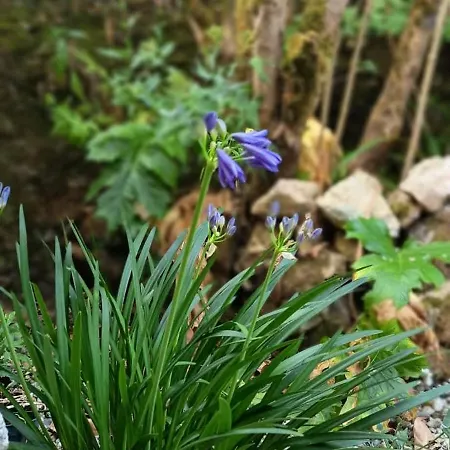 La Fleur De Lys Nocleg ze śniadaniem Moulins (Deux-Sevres)